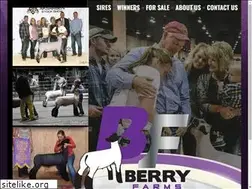Sites similar to berryfarmsclublambs.com
