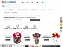 Sites similar to besiktascicekci.com