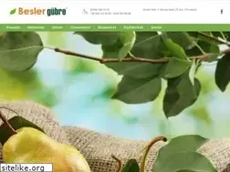 Sites similar to beslergubre.com.tr