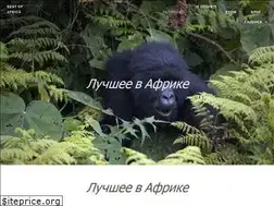 Sites similar to best-of-africa.ru