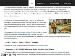 Sites similar to bestbatterypoweredleafblower.com