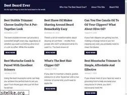 Sites similar to bestbeardever.com