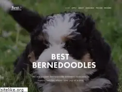 Sites similar to bestbernedoodles.com