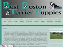 Sites similar to bestbostonterrierpuppies.com
