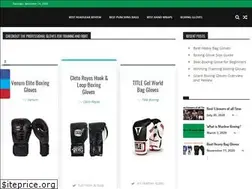 Sites similar to bestboxinggloves.org