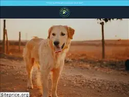 Sites similar to bestbuddydogproducts.com