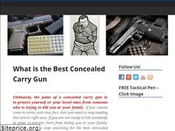 Sites similar to bestconcealedcarrygun101.com