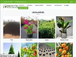 Sites similar to bestepeyzaj.com