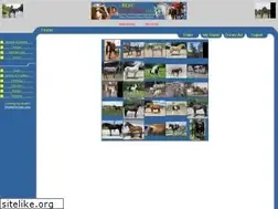 Sites similar to bestequine.com