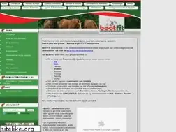 Sites similar to bestfitzadelservice.nl