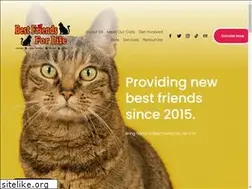 Sites similar to bestfriendsforlife.org