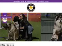 Sites similar to bestfriendsfurever.com