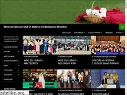 Sites similar to bestinshow.cz