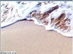 Sites similar to bestjamaica.com