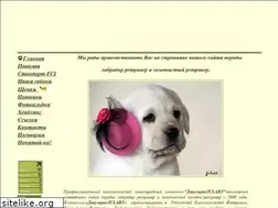 Sites similar to bestlabr.ru