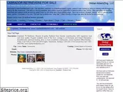 Sites similar to bestlabrador.com