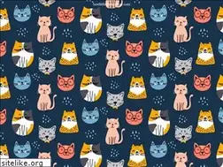 Sites similar to bestlittleframeshop.com