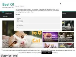 Sites similar to bestofmycat.com