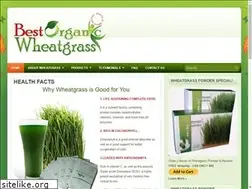 Sites similar to bestorganicwheatgrass.com