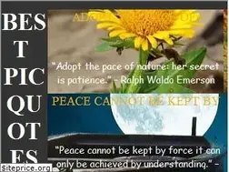 Sites similar to bestpicquotes.com