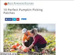 Sites similar to bestpumpkinpicking.info