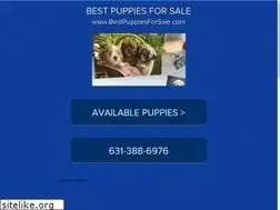 Sites similar to bestpuppiesforsale.org