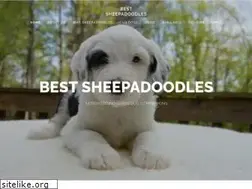 Sites similar to bestsheepadoodles.com