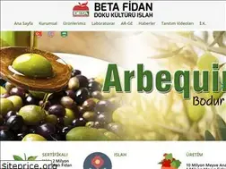 Sites similar to betafidan.com.tr