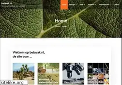 Sites similar to betavak.nl