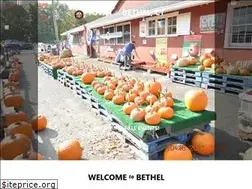 Sites similar to bethel-ct.gov