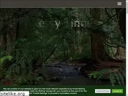 Sites similar to betsytinney.com