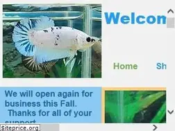 Sites similar to bettastars.com