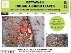 Sites similar to bettawan.com