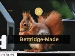 Sites similar to bettridge-made.com