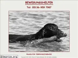 Sites similar to bewegungshelfer.de