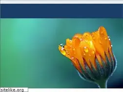 Sites similar to bewilderbliss.com