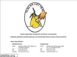 Sites similar to beyazadam.com