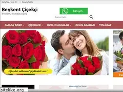 Sites similar to beykentcicekci.com