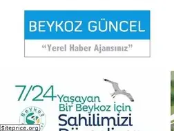 Sites similar to beykozguncel.com