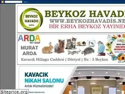 Sites similar to beykozhavadis.net