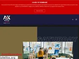 Sites similar to beylikduzuamerikankoleji.com
