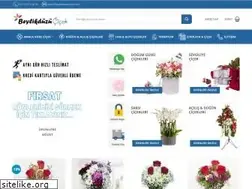 Sites similar to beylikduzucicek.com