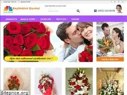Sites similar to beylikduzucicekcilik.net