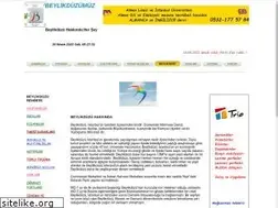 Sites similar to beylikduzumuz.com