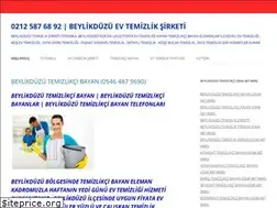 Sites similar to beylikduzutemizlikcibayan.com