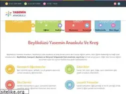 Sites similar to beylikduzuyaseminanaokulu.com