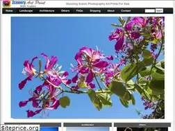 Sites similar to beyonddream.com