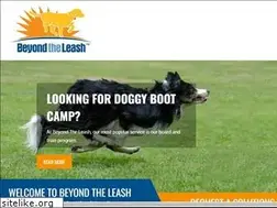 Sites similar to beyondtheleash.net