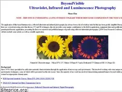 Sites similar to beyondvisible.com