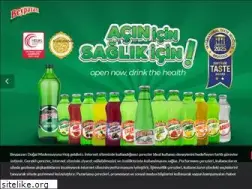 Sites similar to beypazarimadensuyu.com.tr